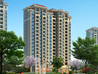 �|ɭ���@F����