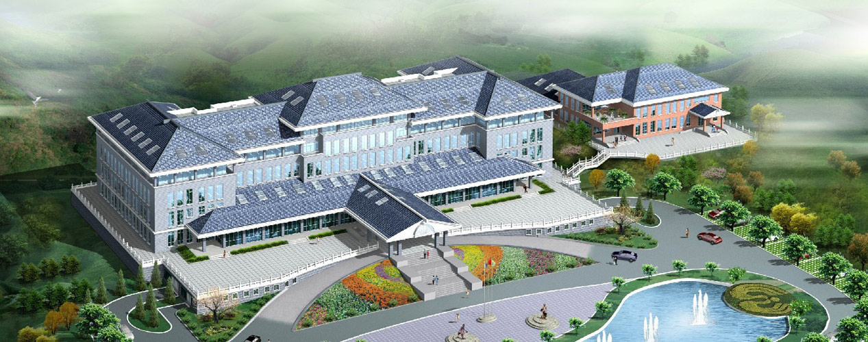 ����籣����